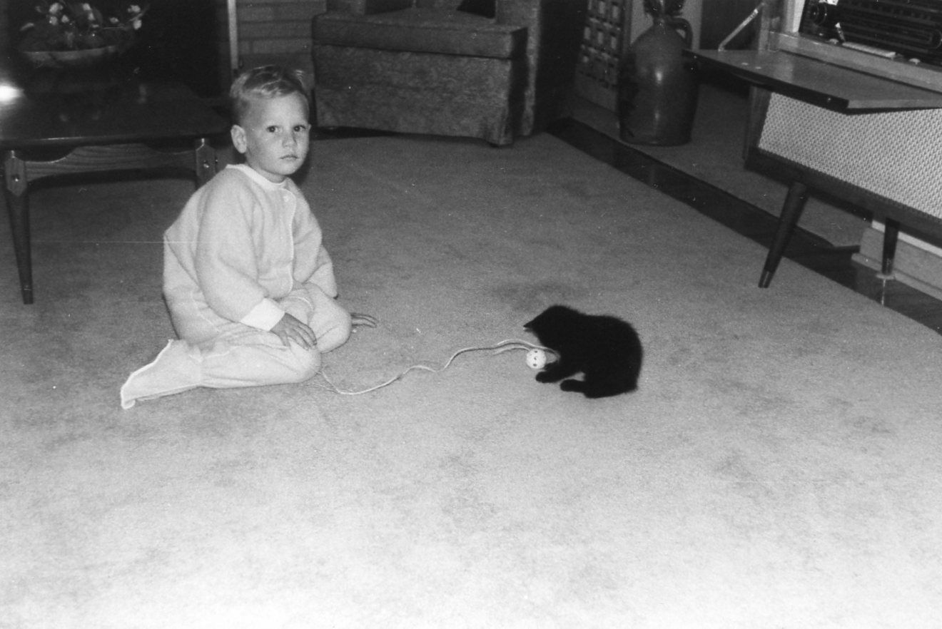 My first cat named Sam